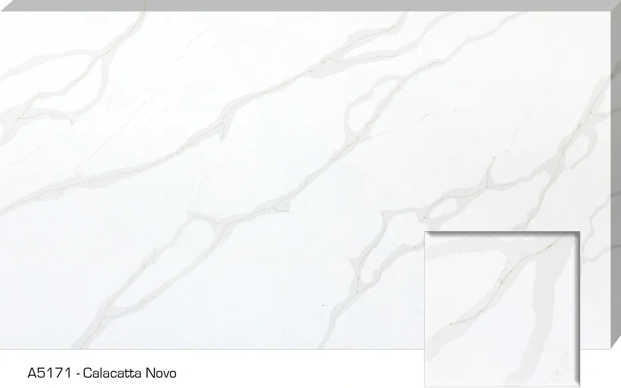 White marble slab with gray veining.